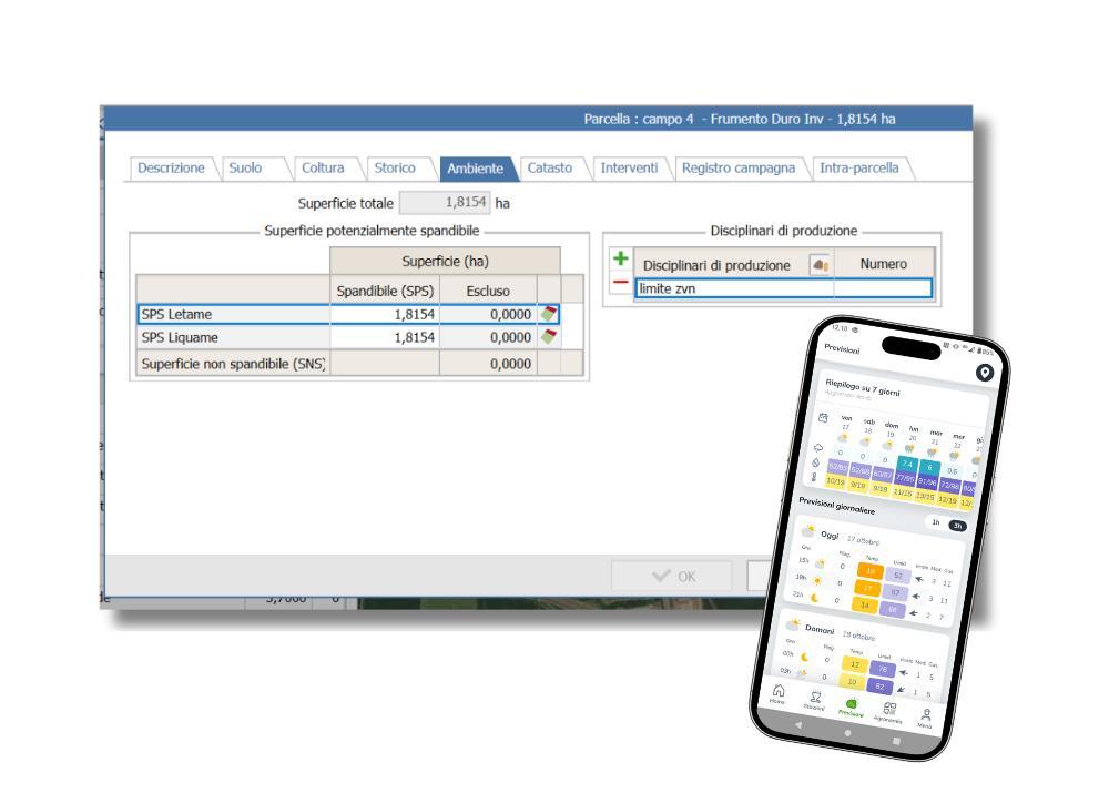 GEOFOLIA_SPANDIMENTI
