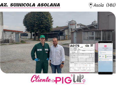 TESTIMONIANZA - ASOLANA