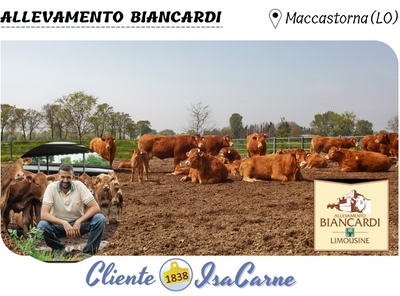 TESTIMONIANZA - BIANCARDI