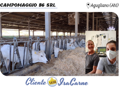 TESTIMONIANZA - CAMPOMAGGIO