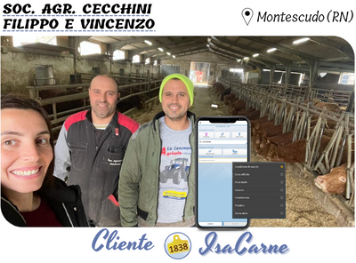 TESTIMONIANZA - CECCHINI