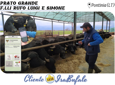 TESTIMONIANZA - PRATO GRANDE