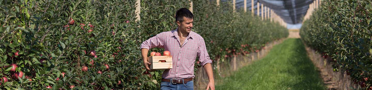 Visuel_1440x350-ortofrutta