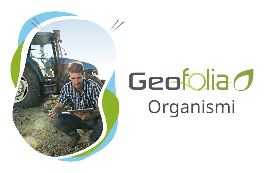 geofolia-organismi-001