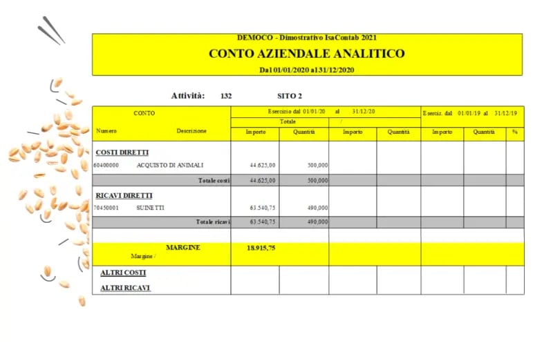 conto aziendale analitico