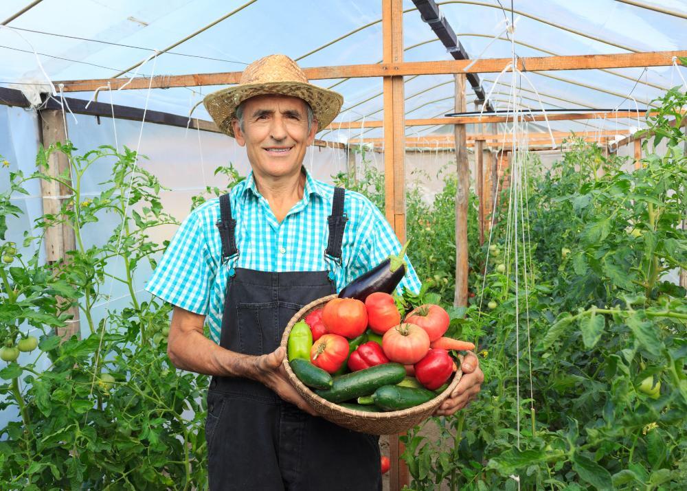 ORTOFRUTTA - magazzino