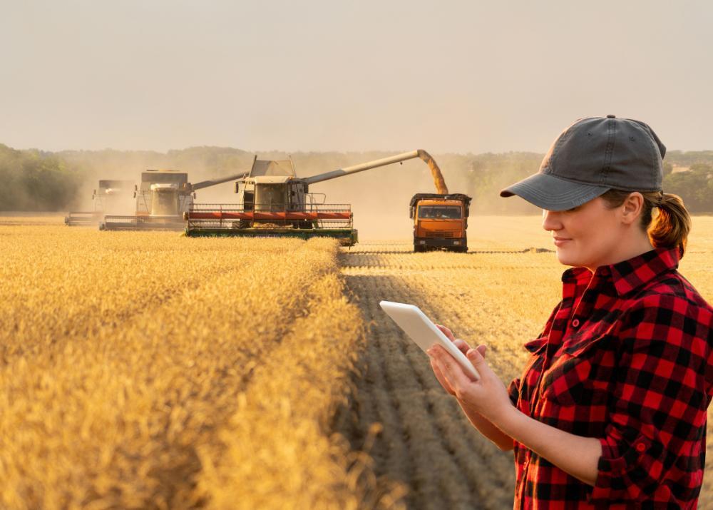 Gestione contabile cerealicoltori