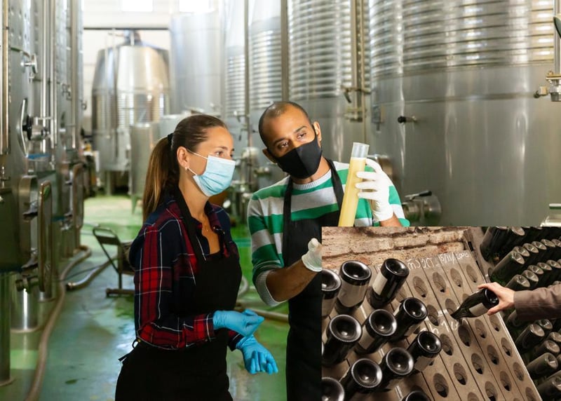 VITICOLTURA - CANTINA