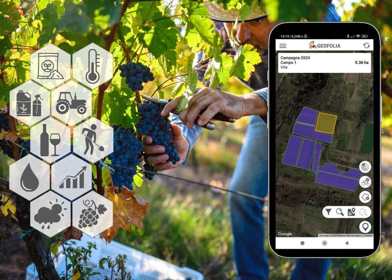 app-vigneto
