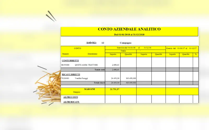 allevamento-suini-04