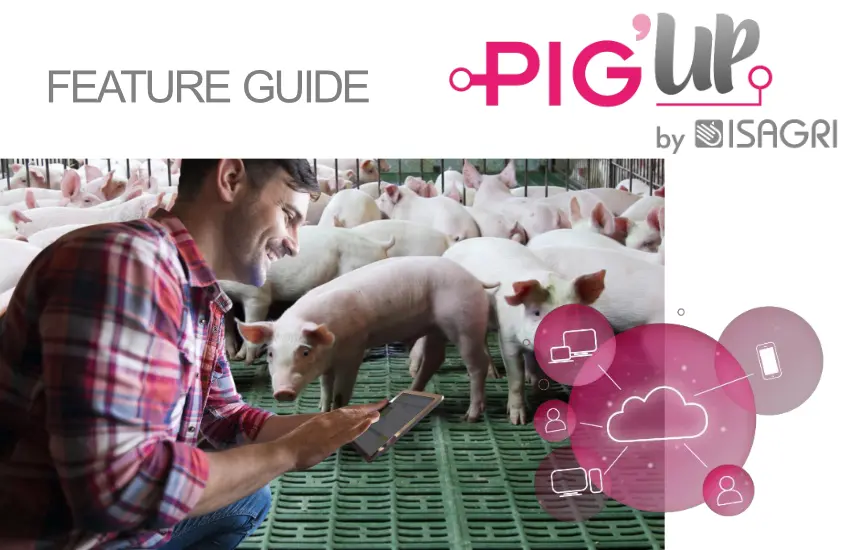 pigup-04-01
