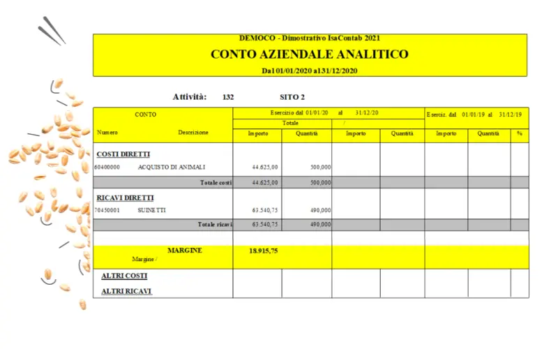 conto aziendale analitico